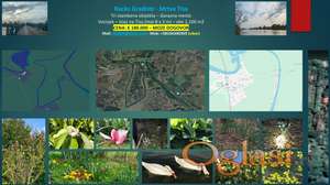 VIKENDICA - BACKO GRADISTE